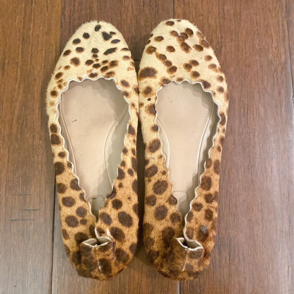 Chloe Ballet Flats